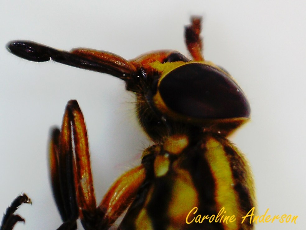 Devinette 2013-01-29