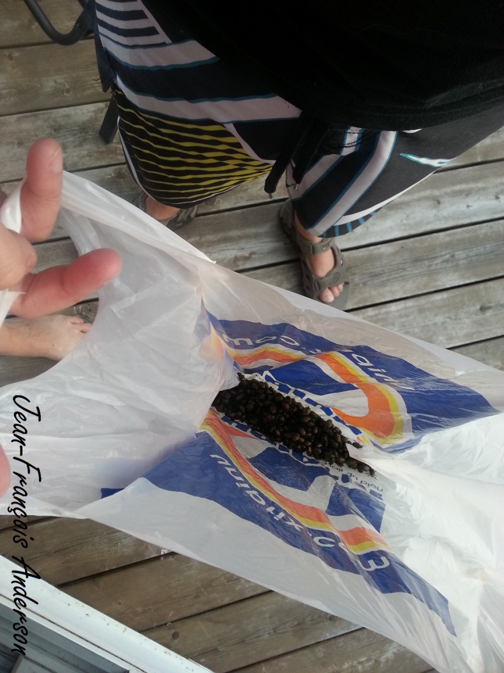 Devinette 2014-08-04