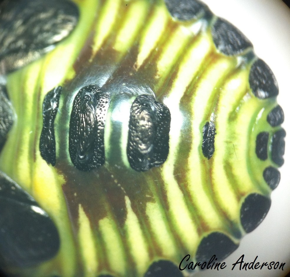 Devinette 2014-09-08