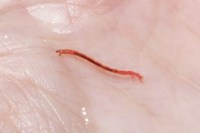 Devinette 11_2015-10-24