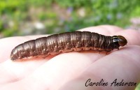 Devinette 12_2015-10-24