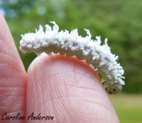 Devinette 1_2015-10-24