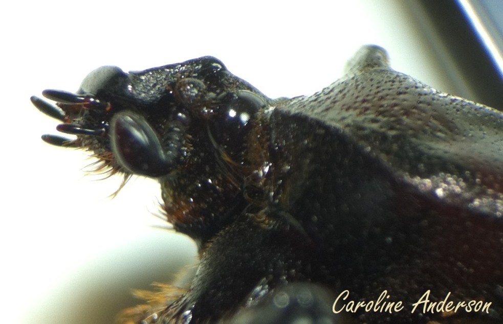 Devinette 2015-10-11