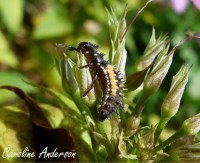 Devinette 2_2015-10-24