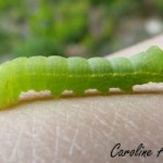 Devinette 3_2015-10-24