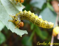 Devinette 5_2015-10-24