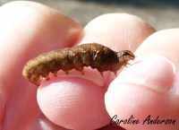 Devinette 7_2015-10-24