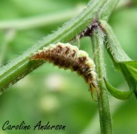 Devinette 8_2015-10-24