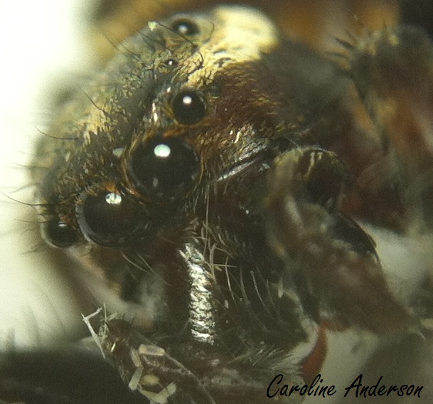 Devinette_2015-11-25