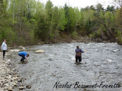 Échantillonnage Cap-Rouge 2015