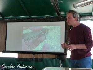 Festival insectes 12