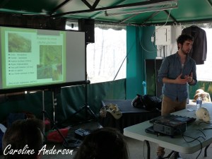 Festival insectes 13