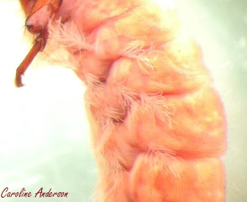 Devinette 2016-06-07