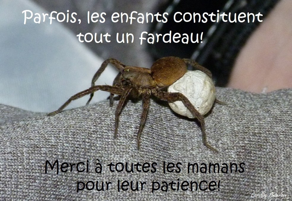 Fête des mères 2017