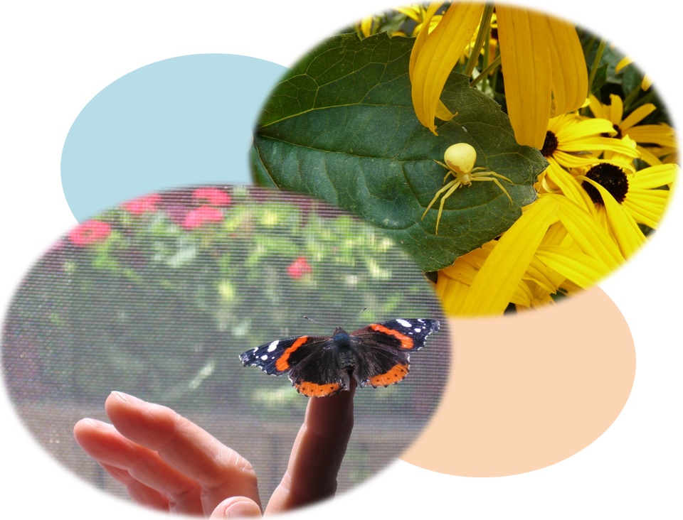 Deux photos gagnantes ex æquo cette année, prises par deux sœurs!