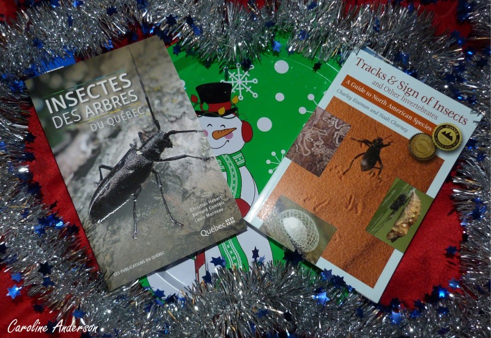 Deux beaux livres à offrir (ou à s’offrir) pour le temps des fêtes!