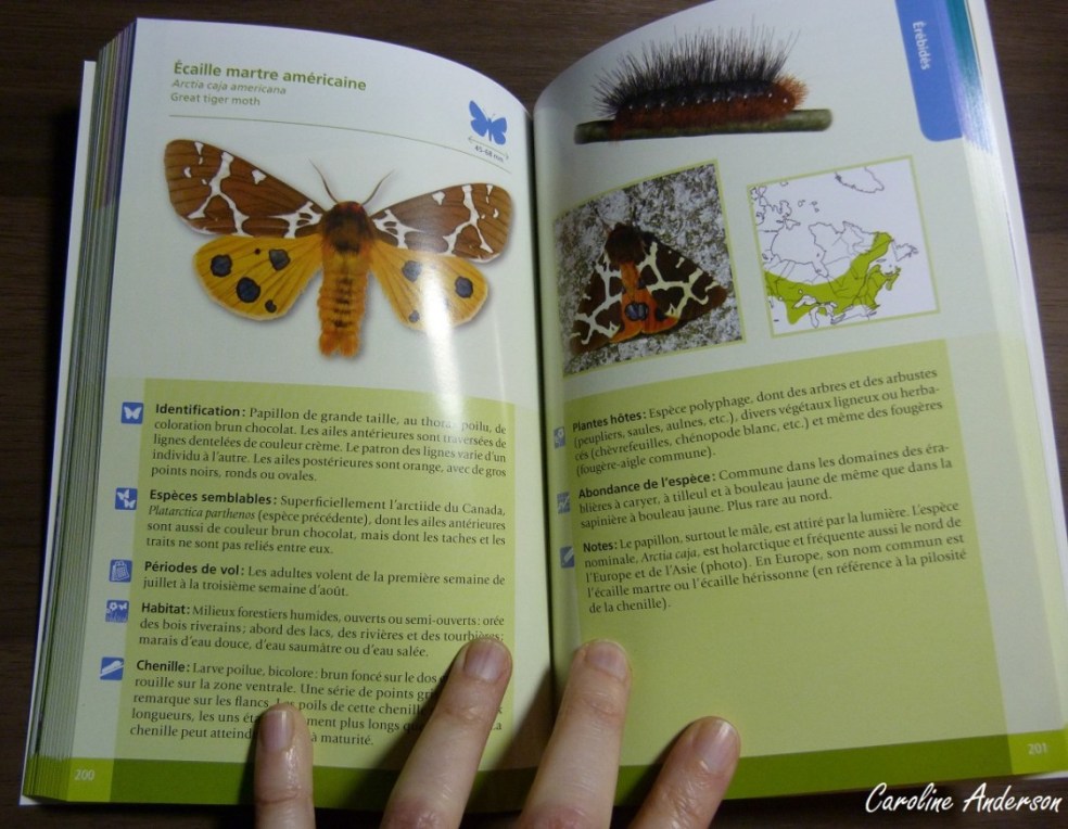 Exemple de planche retrouvée dans le livre