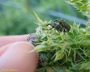 Une tâche risquée pour le bout des doigts!