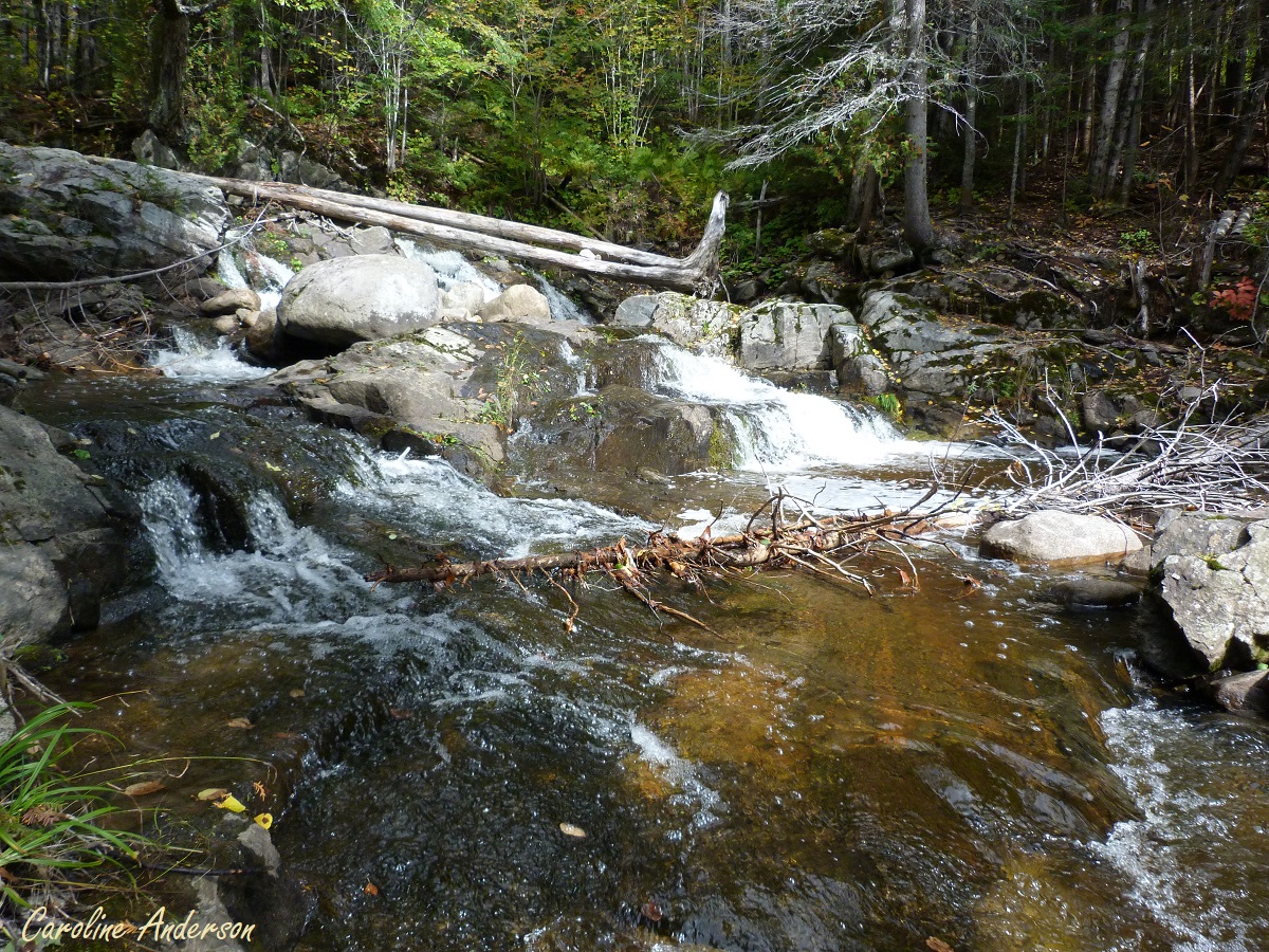 Petite balade en forêt le long d'un ruisseau autour de Glaserswoerth, image size:1200x900