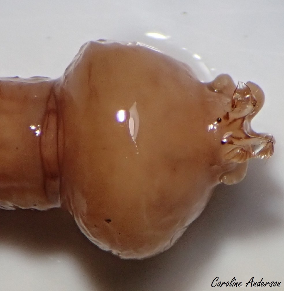 devinette 2019-01-19