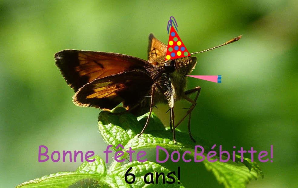 docbébitte 6ans
