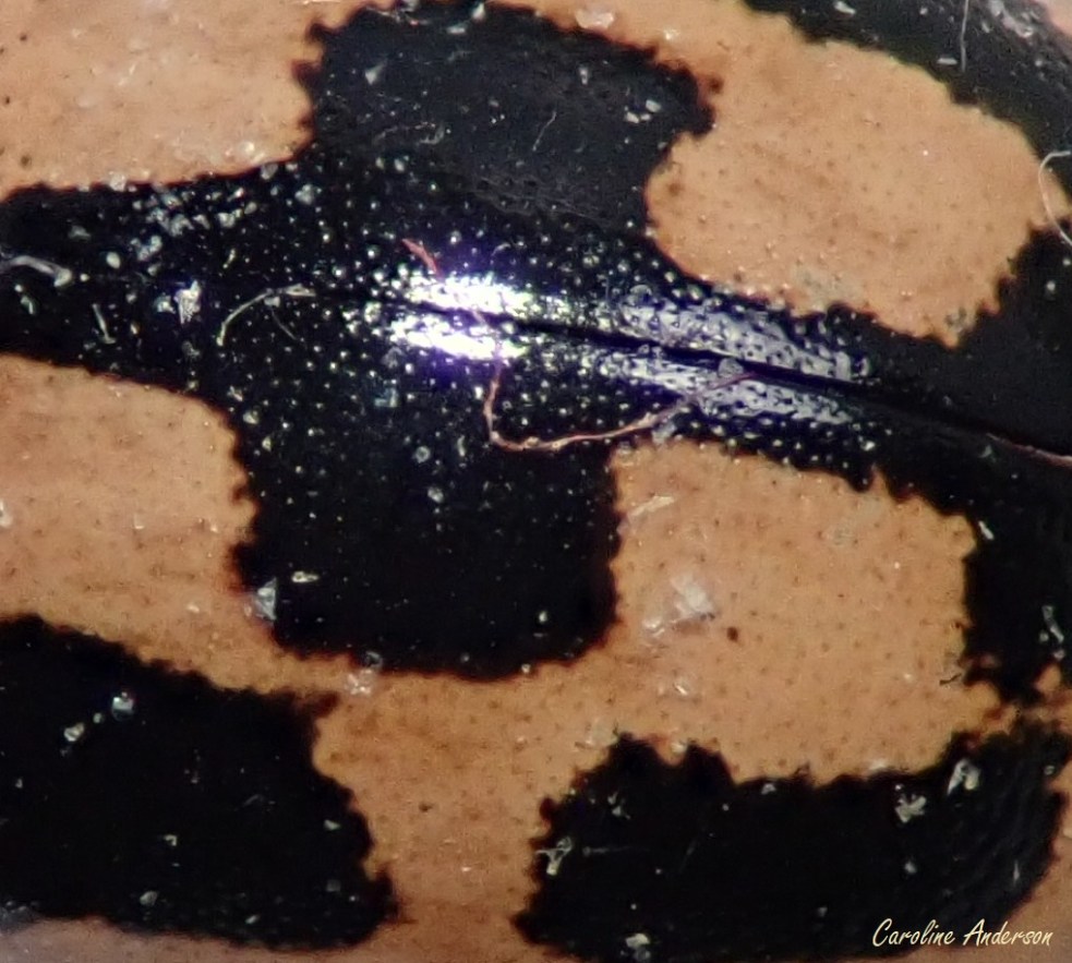 devinette_2019-11-06